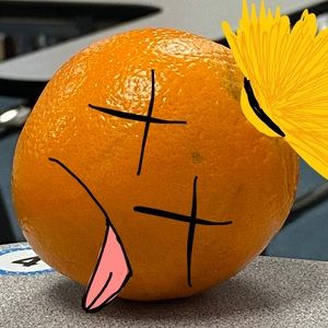 Meet your Posher, Cassandra